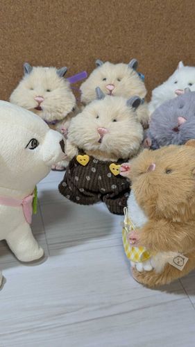 犬、これ
「ハイハイ、弟ナ」
いや妹
「妹！？」