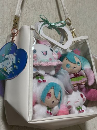 これはボクのお部屋だよ、ミクちゃんと一緒なの