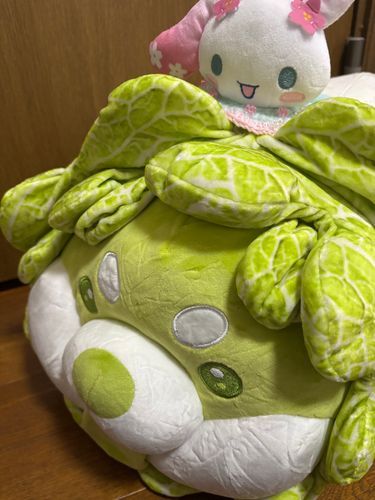 前にハクサイヌくんと撮った写真だよ