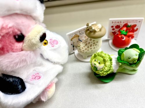 …何だこれは？
野菜？獣？