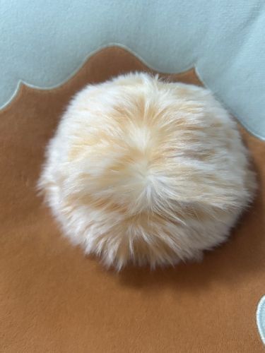 こんな所に突っ込まれて腹が立つみゅ💢💢
