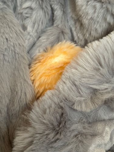 主の母上のお誕生日だから、主がプレゼントで毛布を渡してたみゅ
だからミエルも潜ってみたみゅ