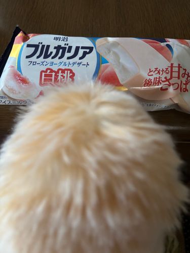 涼しくなる前に🍨