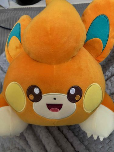 おっきな ぱもです よろしくね