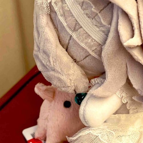 すいぞくかんからあたらしいおともだちをつれてかえってきました！
これからなかよくしましょうね！なまえはもうかんがえましたよ、ぴぴちゃんです♪
よろしくおねがいします