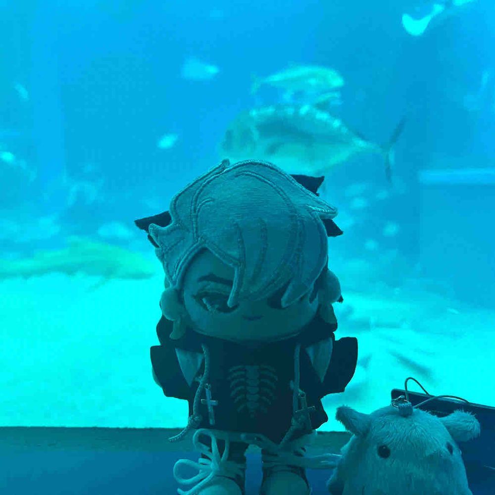おおさかにいってきました！
ついにわたくしちゃんのこんげんのかりおすとろはくしゃくにあってきました！
ゆにばはまいごがこわいからおるすばん…でもあたらしいおともだちがやってきましたよ♪
わたくしちゃんのこうはい、どーまんちゃんはかいゆうかんにいったそうです、あおいうみにおさかなさん！とってもキレイですね♪
