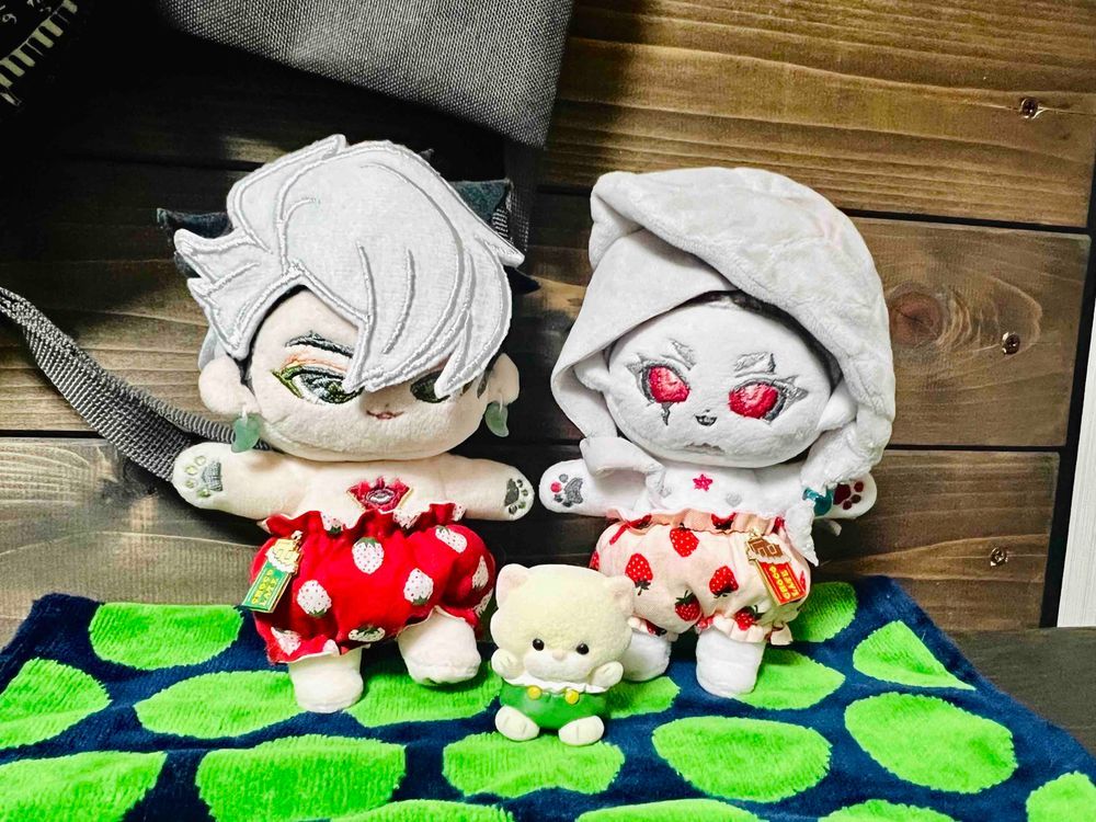 おひさしぶりです、わたくしちゃんです！
ねんまつにミシンがやってきました
やっとおひまができたそうなのでついにつかってみたそうです！

じゃーん！
あたらしいおぱんつをつくってもらいました！ふわもこであったかいです♪
