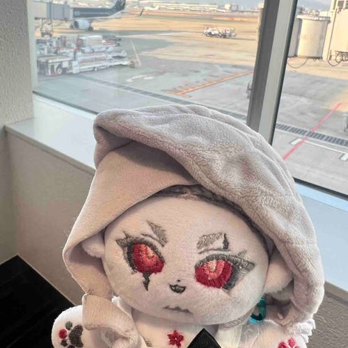 じゃーん！こちらはどちらでしょう？こたえはくうこうです！

ン！せっそうとおなじいろのひこーきもありまする！

うまれてはじめてのひこーきにわたくしちゃんワクワクがとまりません！いったいどこへいくのでしょう？