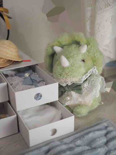 飼い主がね、ぼくたち用のタンスを買ってくれたよ！