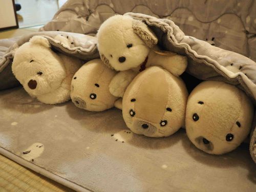 白い子たちがこたつに集ってた〜