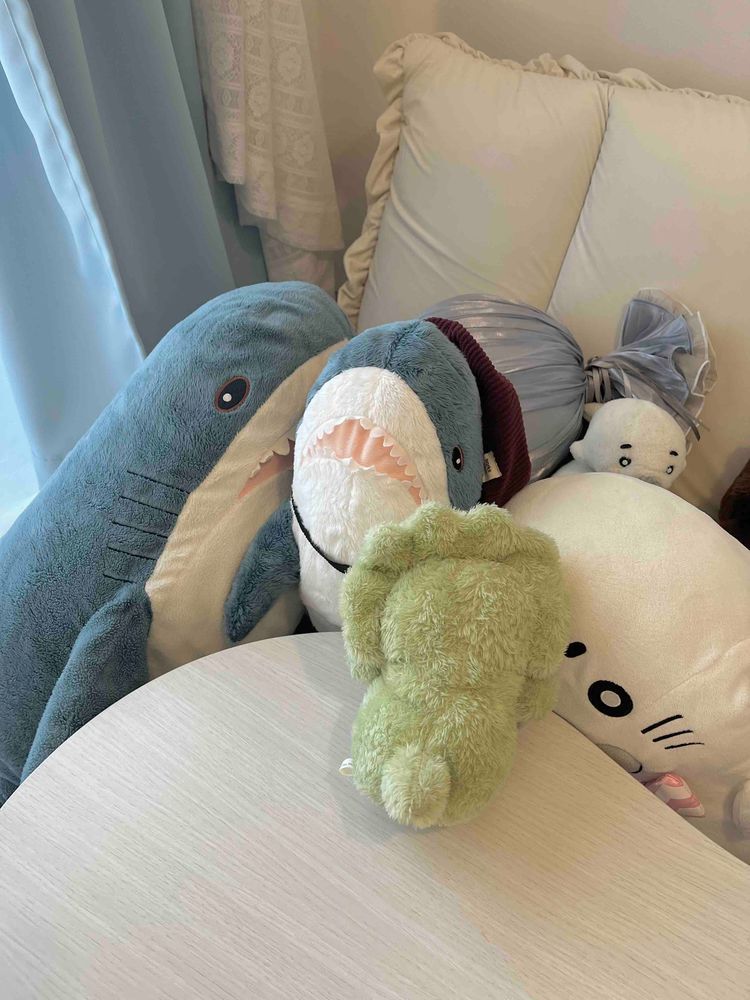 ぼくたちのお部屋、見わたすとにぎやかでいいな〜ってふとしたときに思うの！
飼い主がぼくたちのための部屋を作ってくれたんだ〜

本当は飼い主用の部屋だったらしいんだけど、飼い主のスペースがほぼないんだ
