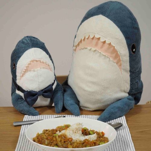 みてみて〜！
飼い主がサメさんカレー作ってくれた！

でもキーマカレーだから砂利の中を泳いでるみたいなの
普通のカレーの時も作って！！
