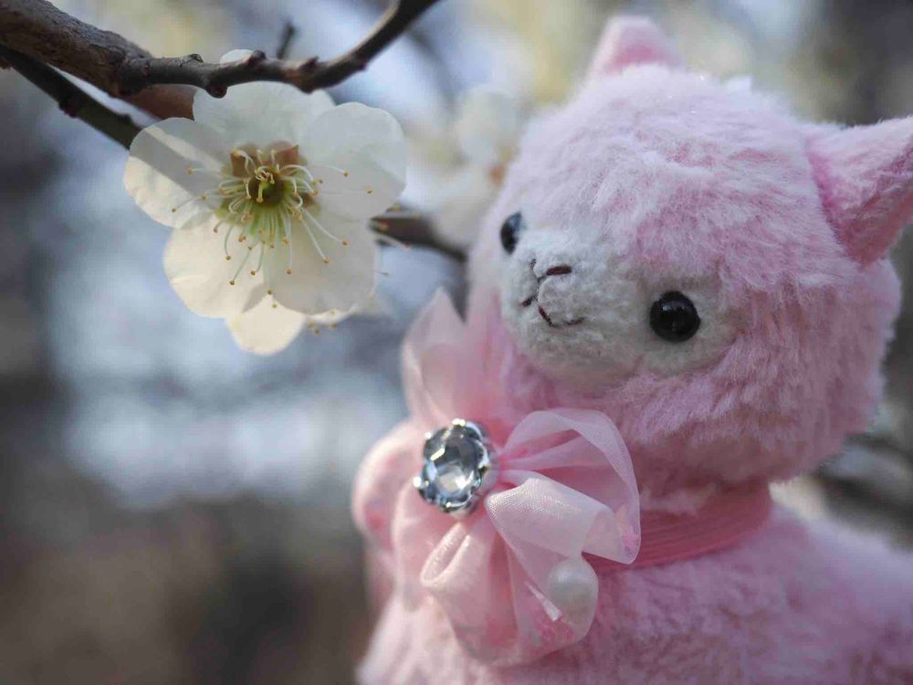春がきたぞ〜
つつじちゃんは春がお似合いだね