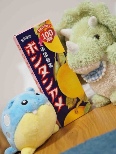 おっきいボンタンアメもらった！！