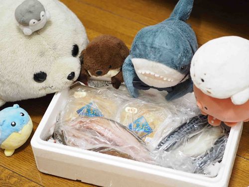 飼い主のほっかいどーに住むお友達から、海の幸をたくさんもらったよ〜！！！