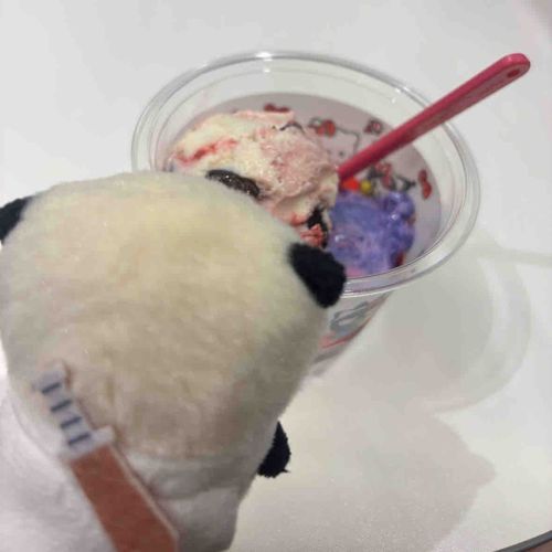 美味しそうに見つめる背中