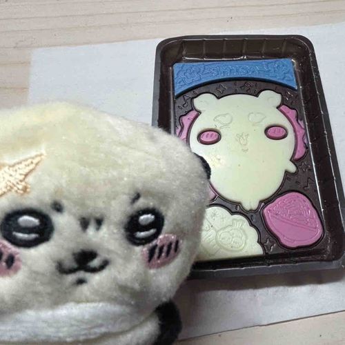 シーサーだったか꒰(՞´⸝⸝⸝◜ ꇐ ◝⸝⸝⸝`՞)꒱
