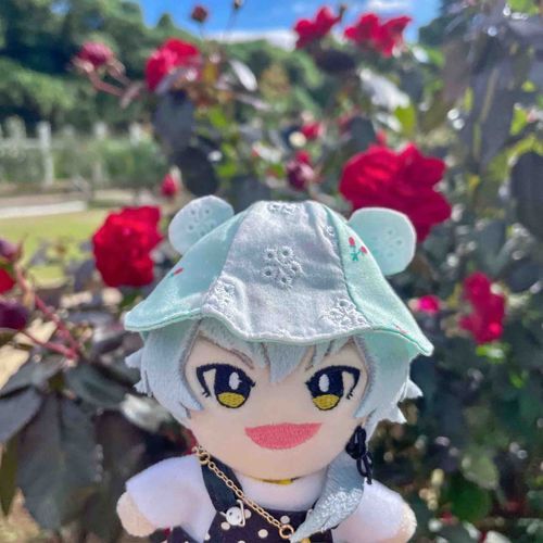 ばらみた