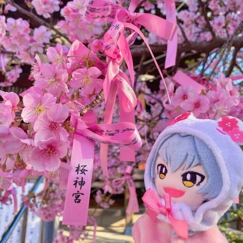 ぜんぶぴんく