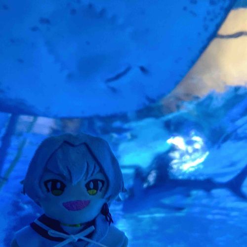 しぱらたいす