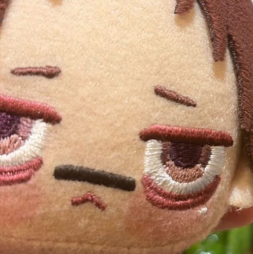 初めまして！
日本語は第二言語ですが、日本に10年ほど住んでいます。
脹相推しです🩸
気軽に仲良くしていただけるとうれしいです🖤
無言フォロー失礼します！