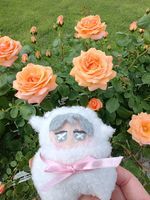 3号ちゃん