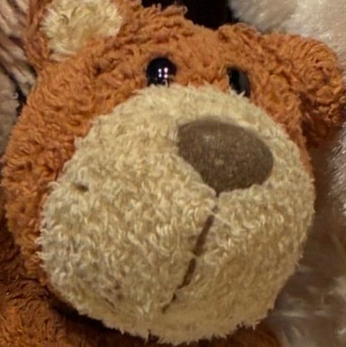 こんにちは！はじめまして！
名前はまだありません！
できることは、4つの磁石の手足でくっつきます！宜しくね！