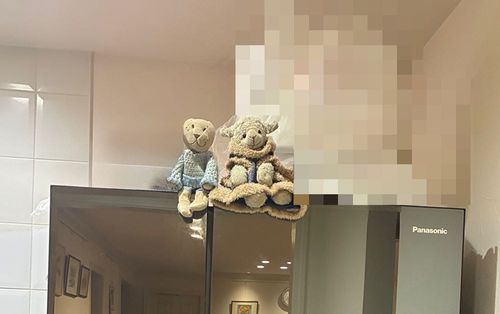 大きい冷蔵庫に乗せられた！高いー！