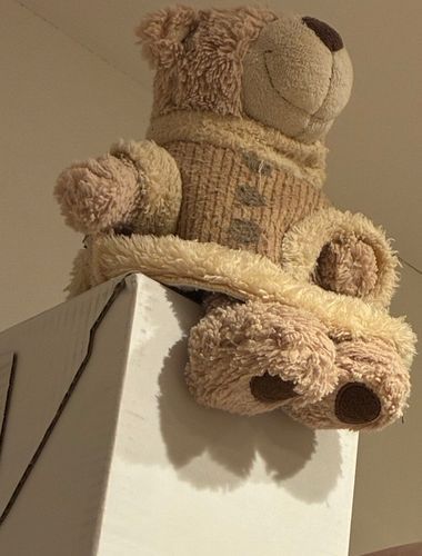 こらー！
だれだ、こんな高い所に置いたのは！