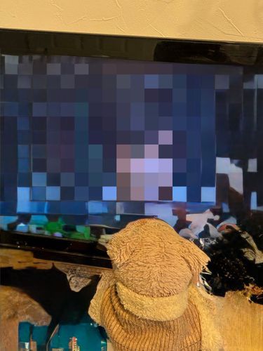 さぁ、なんのテレビを見てるでしょうか！
(※良い子のみんなは、テレビを間近で見るのはやめましょう)