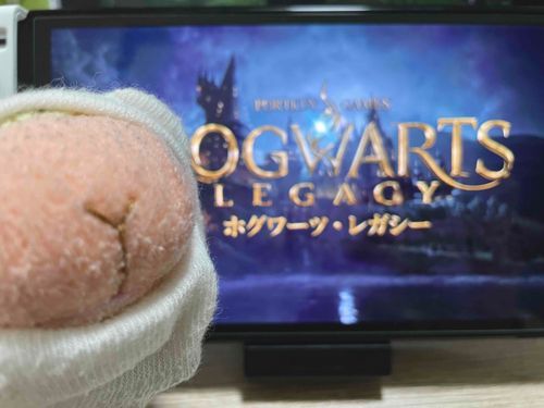 ホグワーツに入学します