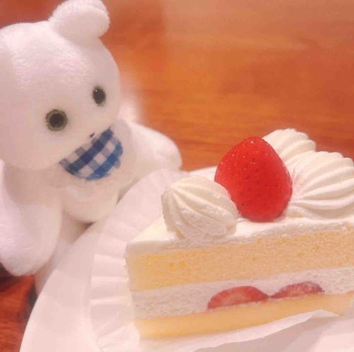 しろが　すき