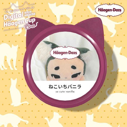 ねこのひだから
