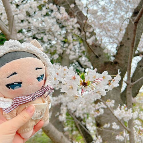 もっとはる