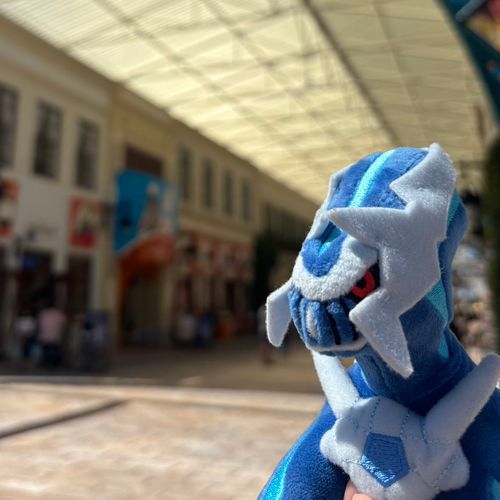 でぃあるがの写真を撮ります📸