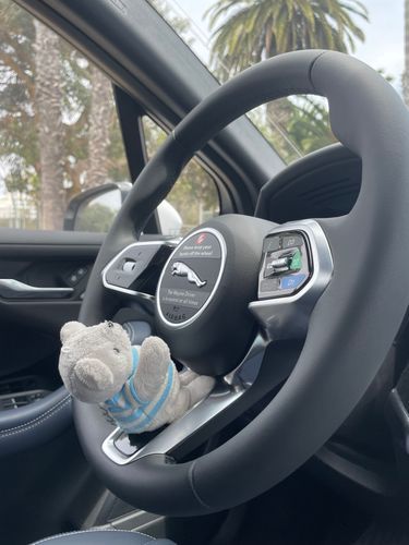 べべの運転🚗