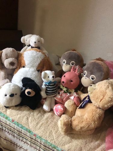 たまにはべべ以外🐶🐻‍❄️🙈🐰