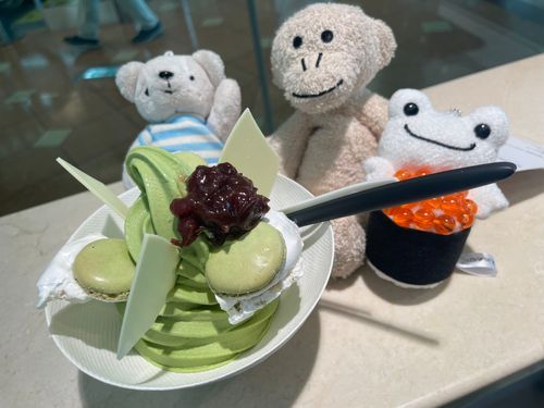 新しいファミリー『いくらちゃん』🐸