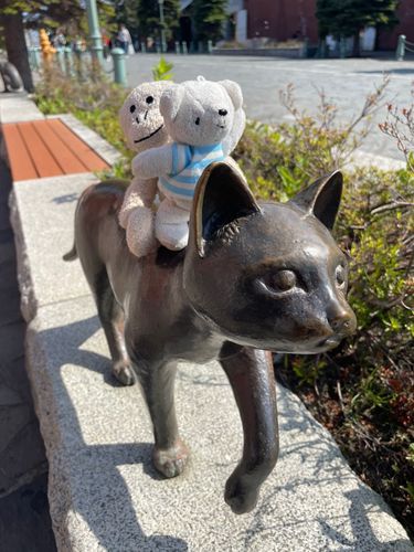 お散歩日和🐻‍❄️🙈🐈‍⬛