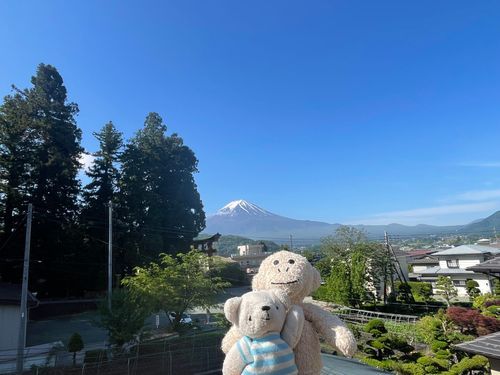 べべ＆ウコンatふじさん🗻