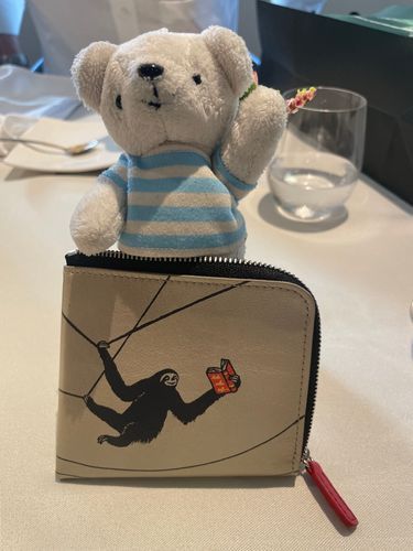 お久しぶりのべべinお姉ちゃんからのプレゼント🦥