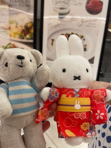 オランダにいくお友達へ🇳🇱🐰