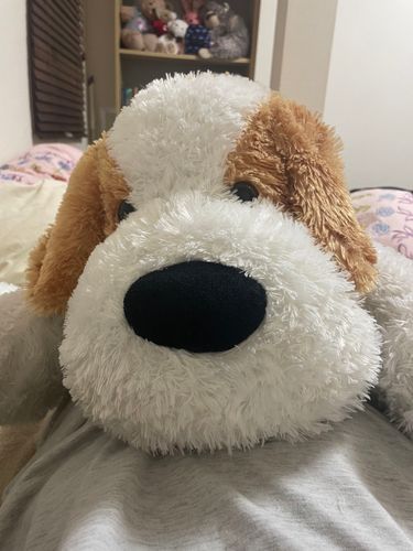 お外で何があってもおうちに帰ればみんながいるわん🐶byわんきょ