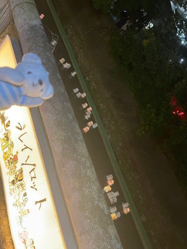 灯籠流しはじめてみたべべ🕯️