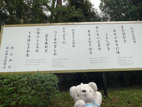 明治神宮で素敵な言葉に出逢うべべ⛩️