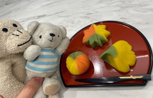 べべのお料理日記📔初練り切り体験🍁