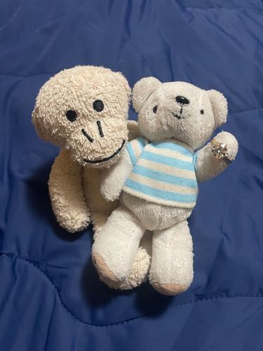 べべ、プロポーズ記念日🙈💍🐻❄️