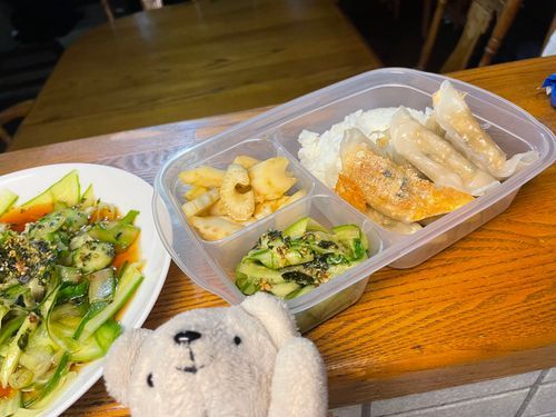 べべの手料理日記📔今日も匂うよ餃子弁当🥟