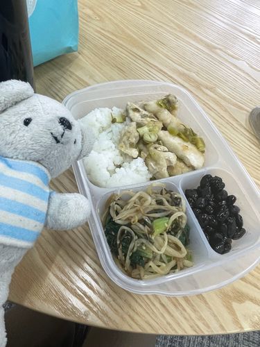 べべの手料理日記📔健康診断が終わったからと言って調子に乗って食べすぎ弁当🐔