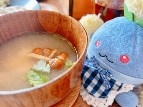 なめこに興味津々